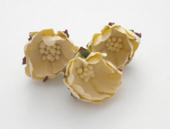 Fleurs en Papier - BOUTON de ROSE Crème (x3)