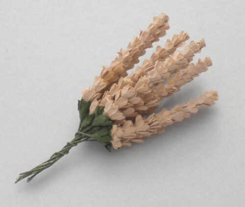 Fleurs en Papier - BRIN LAVANDE Beige (x10)