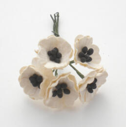 Fleurs en Papier - MINI POPPIES Crème (x5)