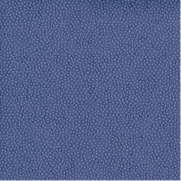 50x69 - Papier Skivertex GALUCHAT VIOLET