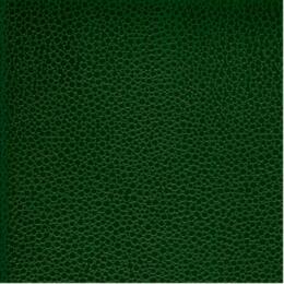 50x69 - Papier Skivertex MALLORY VERT