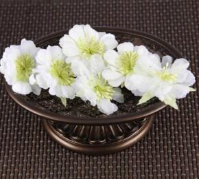 -30% Prima Marketing : Fleurs PETUNIA OVERTURE Blanc