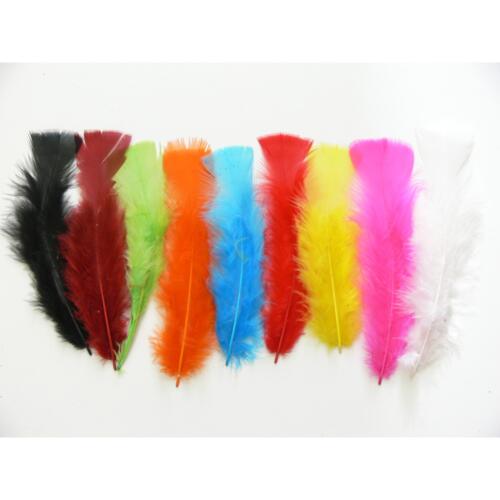 PLUMES - 15 cm Assorties (25grs - 150u)