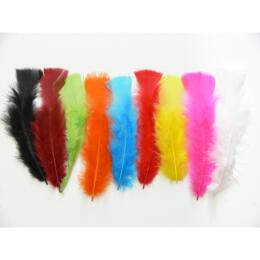 PLUMES - 15 cm Assorties (25grs - 150u)