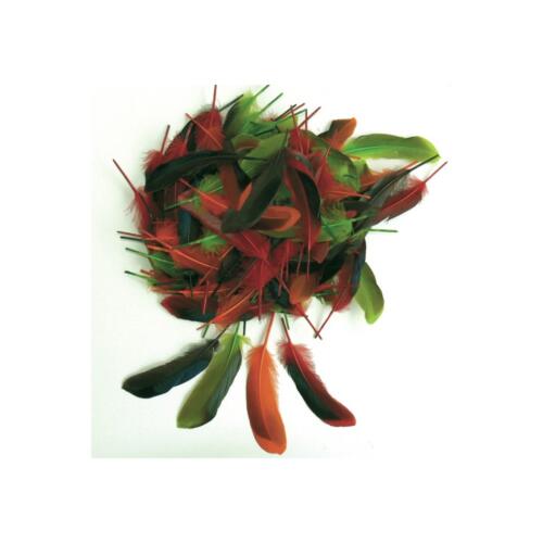 PLUMES - 13 cm Couleurs Automne (10grs - 80u)