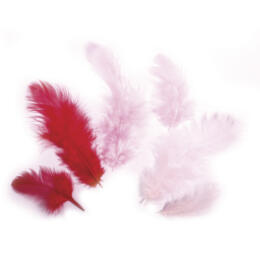 PLUMES - 3/10 cm Teintes Rouges (10grs)
