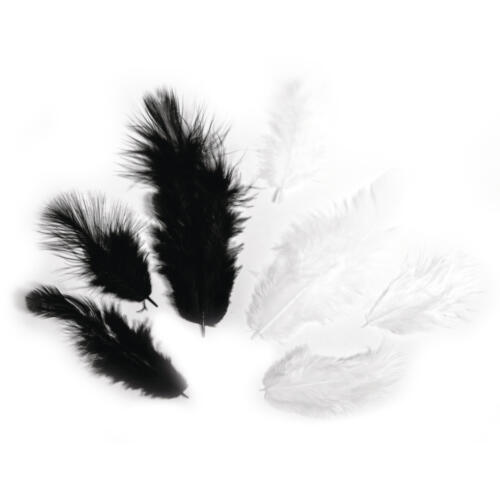 PLUMES - 3/10 cm Teintes Noir/Blanc (10grs)