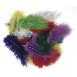 PLUMES - 8 cm Assortiment Couleurs  (35u)