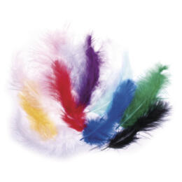PLUMES - 10/15 cm Assortiment Couleurs  (45u)