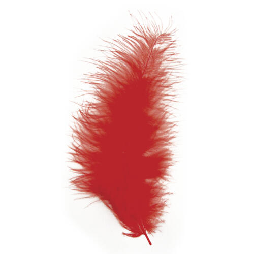 PLUMES - 10/15 cm Couleur ROUGE (15u)