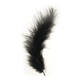PLUMES - 10/15 cm Couleur NOIR (15u)