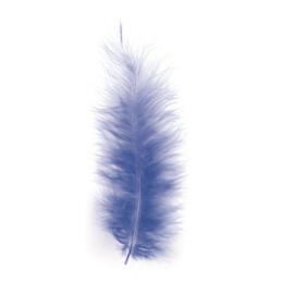 PLUMES - 10/15 cm Couleur BLEU (15u)