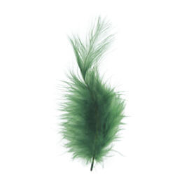 PLUMES - 10/15 cm Couleur VERT (15u)