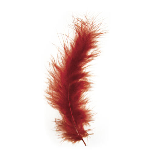 PLUMES - 10/15 cm Couleur ROUGE/BRUN (15u)