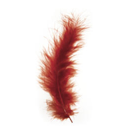 PLUMES - 10/15 cm Couleur ROUGE/BRUN (15u)