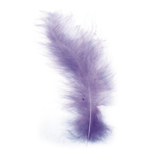 PLUMES - 10/15 cm Couleur LILAS (15u)