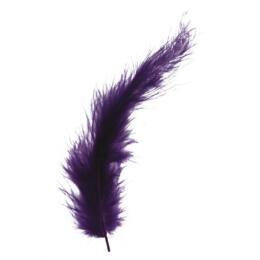 PLUMES - 10/15 cm Couleur LILAS FONCE (15u)
