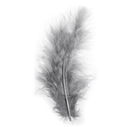 PLUMES - 8 cm Couleur GRIS SOURIS (10u)