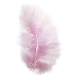 PLUMES - 8 cm Couleur ROSE (10u)
