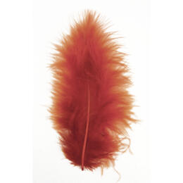 PLUMES - 8 cm Couleur ROUGE/BRUN (10u)