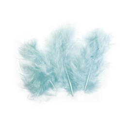 PLUMES - 8 cm Couleur BLEU CIEL (10u)