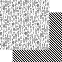 PhotoPlay -  STUCK ON YOU Cactus - Live Simply 