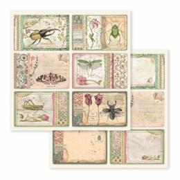 STAMPERIA - Collection SPRING BOTANIC - Cards papier 30x30