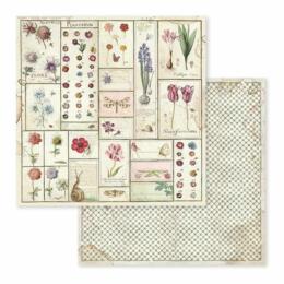 STAMPERIA - Collection SPRING BOTANIC - Herbarium papier 30x30