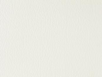 50x69 - Papier Skivertex IMITATION CUIR BLANC