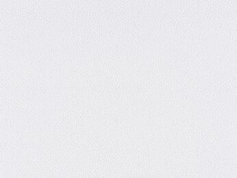 50x69 - Papier Skivertex MALLORY BLANC NACRE