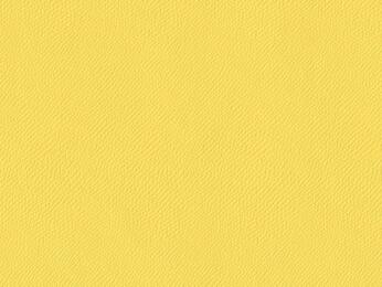 50x69 - Papier Skivertex CRIS MAT JAUNE
