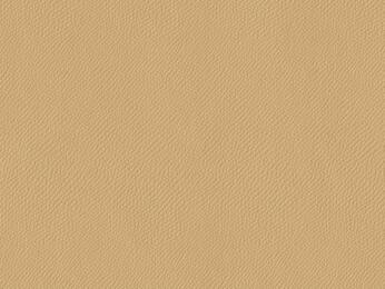 50x69 - Papier Skivertex CRIS MAT BRUN CAFE