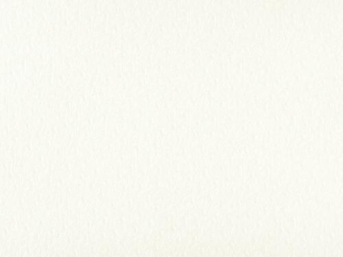 50x69 - Papier Skivertex AUTRUCHE BLANC NACRE