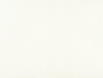 50x69 - Papier Skivertex AUTRUCHE BLANC NACRE