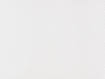 50x69 - Papier Skivertex LEZARD BLANC