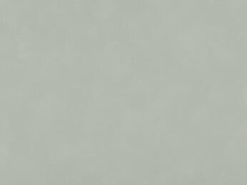 50x69 - Papier Skivertex VELOURS MENTHE VERT PALE