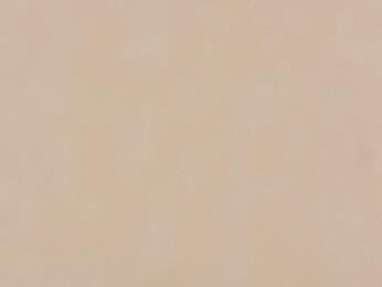 50x69 - Papier Skivertex VELOURS BEIGE CLAIR