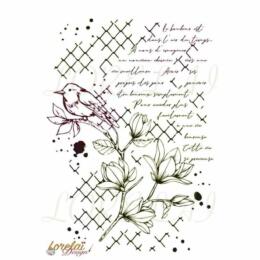 Tampons Clear - VIE PRECIEUSE - Bloom - Lorelai Design