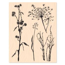 Tampons Bois - SUR LES SENTIERS  - INTEMPORELLE - Les Ateliers de Karine