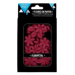 Fleurs en Papier - FLORIPETAL Carmin