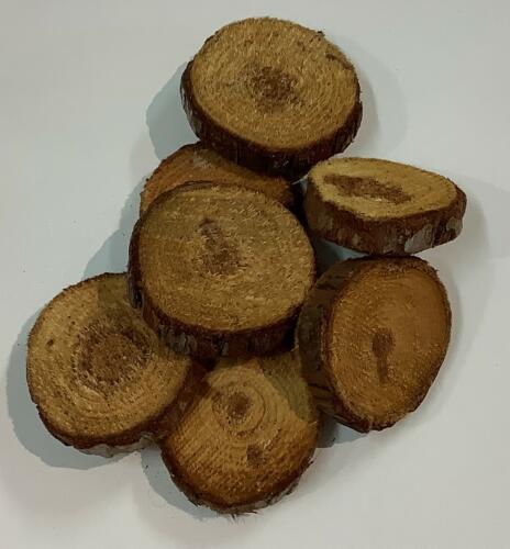 TRANCHES DE BOIS - Disques de Pin Rond 100grs