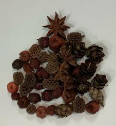 ASSORTIMENT de POMME DE PIN, COCOTTES (30 grs)