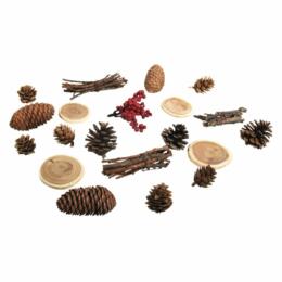 ASSORTIMENT de CONES & BRANCHES (x20u)