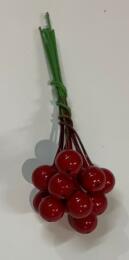 BAIES DE HOUX (x10u) 