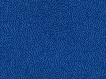 50x69 - Papier Skivertex MALLORY BLEU ROI