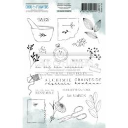 Tampon Clear - Dans La Lune - PLANTES MAGIQUES - Chou & Flower