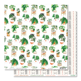 Paper Nova - GREENHOUSE - N°3