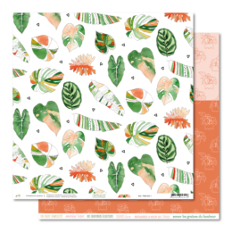 Paper Nova - GREENHOUSE - N°1