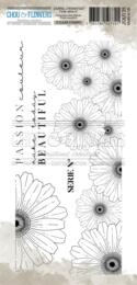 Tampon Clear - Journal Chromatique - FRISE SERIE N° - Chou & Flower