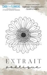 Tampon Clear - Journal Chromatique - GERBERA - Chou & Flower
